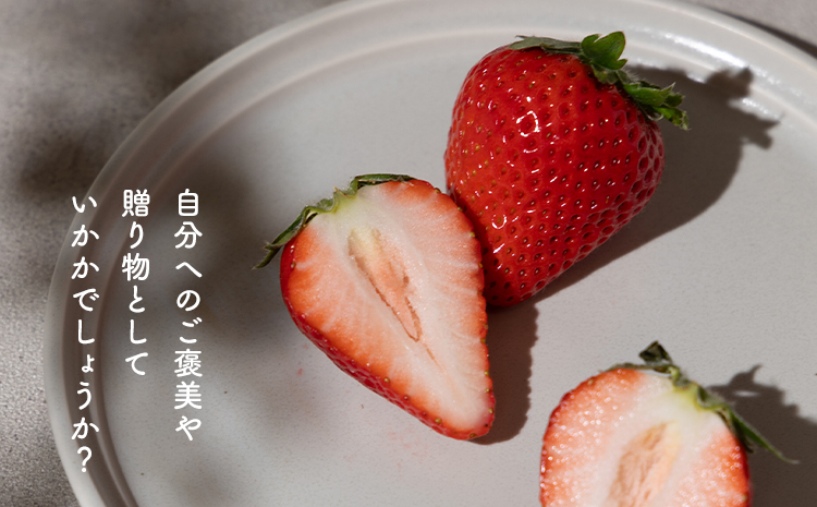 PREMIUMイチゴ 12玉 1玉45g以上 ひのしずく いちご イチゴ 苺《2026年3月発送予定》ヴァリアス株式会社 果物 くだもの フルーツ 希少 ギフト プレゼント 贈り物 国産 九州産 熊本県 菊池市 送料無料---028-0008---