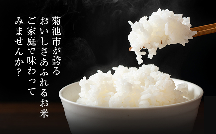 【3ヶ月定期便】熊本県産 肥後米 無洗米 白米 20kg 1袋5kg 米 お米 令和7年産 九州産 熊本県産 送料無料《お申込み翌月に出荷予定》 無洗米 白米 米---026-3007mo3---