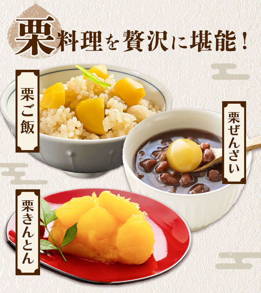 【先行予約】栗 約3kg 2Lサイズ 日本フルーツ株式会社《9月上旬-10月上旬頃出荷》熊本県 菊池市 栗 くり 熊本県産 2L 栗きんとん 栗ごはん---308-0007---