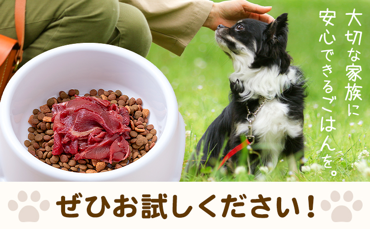 ペット用馬肉 2kg 五右衛門フーズ《30日以内に出荷予定(土日祝除く)》 ペット用 犬用 肉 馬肉 熊本県 菊池市---187-2343---