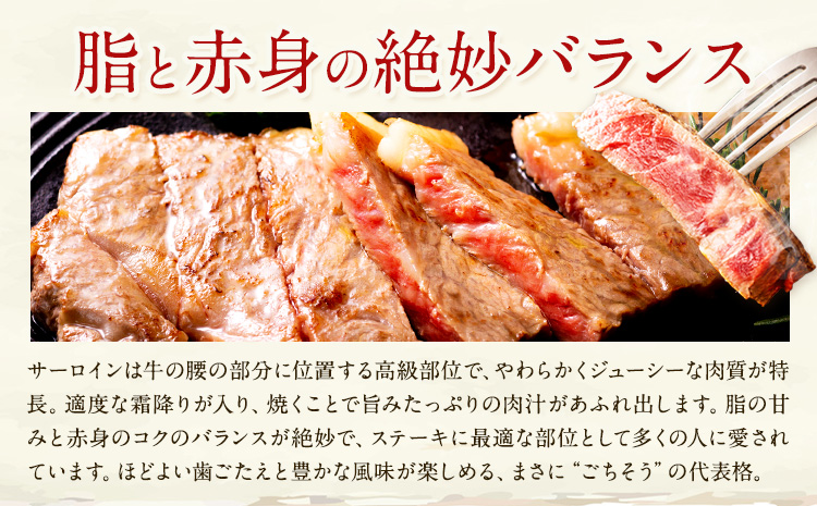熊本県産 牛 サーロイン ステーキ 280g 2P株式会社共同 熊本ミートセンター 肉 お肉《30日以内に出荷予定(土日祝除く)》 牛肉 おかず 熊本県産 国産 熊本県 菊池市---087-2080---