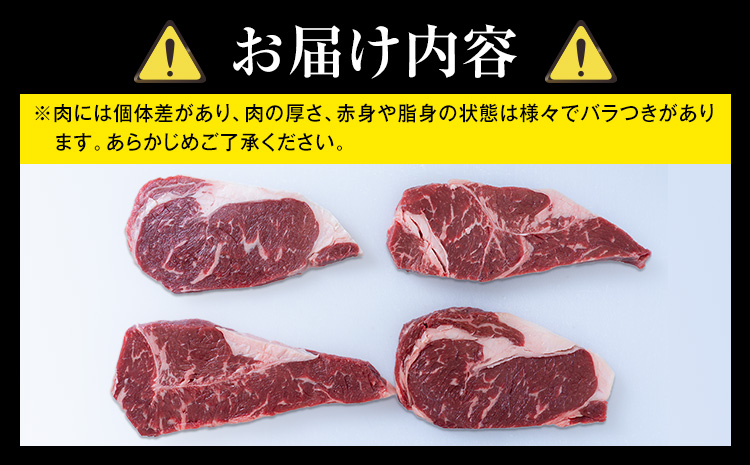 熊本県 国産牛 サーロインステーキ 600g 《30日以内に出荷予定(土日祝除く)》くまもと 熊本県 牛肉 冷凍 個別 取分け 小分け チャック付き バラ凍結 肉 お肉 ステーキ ステーキ用 ---300-4302---
