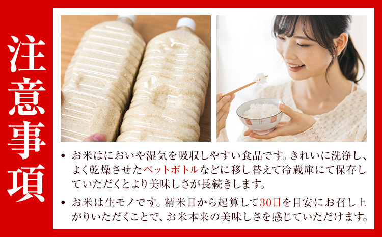 令和7年産 つるたファームの米 自然にこまる 自然栽培米 にこまる 5kg 株式会社七城の恵み《30日以内に出荷予定(土日祝除く)》熊本県 菊池市 米 にこまる つるたファーム---126-2521---