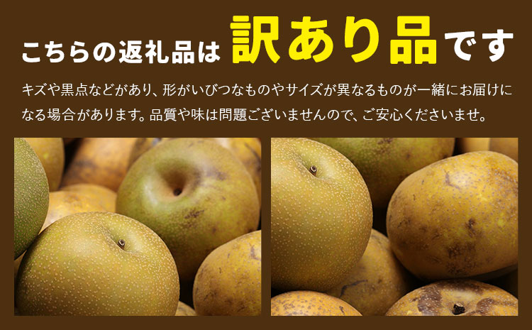 【先行予約】梨 訳あり梨 約2kg-2.5kg(6-10玉) 《2026年8月下旬-10月下旬頃出荷》 株式会社Foody’s なし 和梨 フルーツ 果物 ご家庭用 不揃い キズあり 菊池市産 熊本県産 九州産---177-2380---