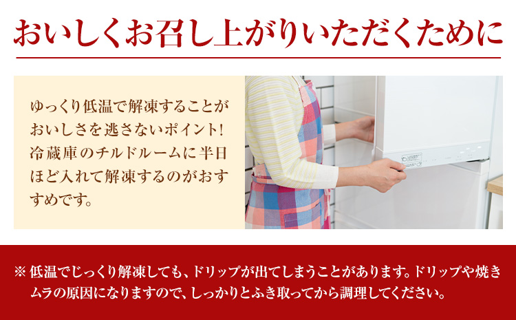 熊本県産 延寿牛 あか牛 ハンバーグ 約150g×10個 合計約1.5kg 株式会社原田畜産《30日以内に出荷予定(土日祝除く)》小分け 個包装 お肉 和牛 ハンバーグ 焼くだけ 熊本県産 九州産 国産 冷凍 送料無料---184-2651---