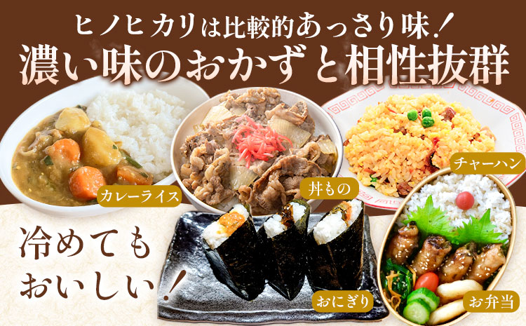 【6ヶ月定期便】令和7年産 精米 七城のこめ 15kg《お申込み翌月から出荷》熊本県 菊池市 米 白米 ヒノヒカリ でんすけ農場---309-4020---