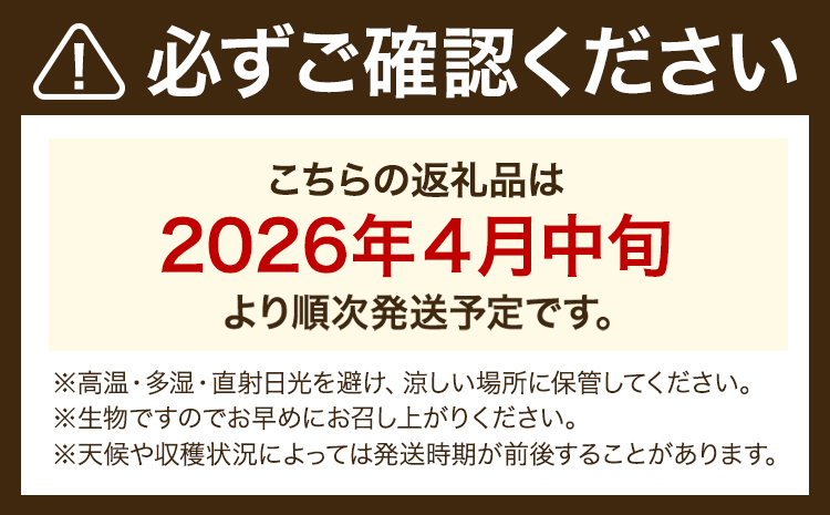 小玉スイカ 2玉【養生市場】 ひとりじめ 果物 フルーツ スイカ 西瓜 九州産 熊本県産 送料無料《2026年4月中旬-5月中旬頃出荷予定》【先行予約】---003-1579---