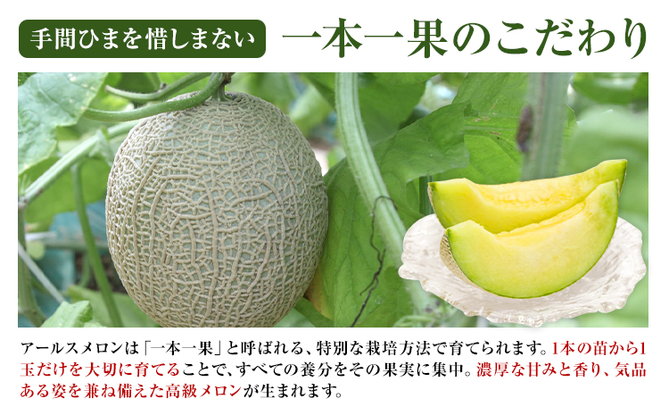 アールスメロン 2玉 くまモン箱入り 2L以上【メロンドーム】 メロン 果物 フルーツ マスクメロン 九州産 熊本県産 送料無料《7月中旬-11月上旬頃出荷》---003-1134---