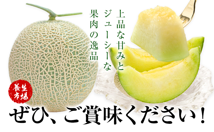 アールスメロン 約2kg×3玉 特選 (約6kg)【養生市場】メロン 果物 フルーツ マスクメロン 九州産 熊本県産 送料無料 《2026年10月中旬-11月中旬頃出荷予定》---003-1152---