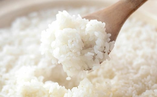 【通常パック】熊本県菊池産 ヒノヒカリ 白米 計4kg（2kg×2パック）七城物語 高野さんちの自然栽培米 精米 お米 こめ コメ 米《30日以内に出荷予定(土日祝除く)》---045-3003---