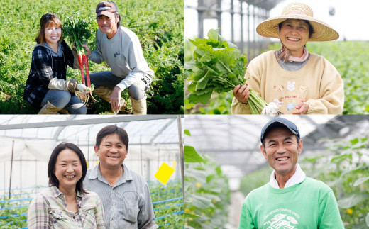 【定期便5回】 野菜 定期便 10品程度 熊本県 菊池市産 やさい 【メロンドーム】《お申し込みの翌月から出荷》---003-2419---