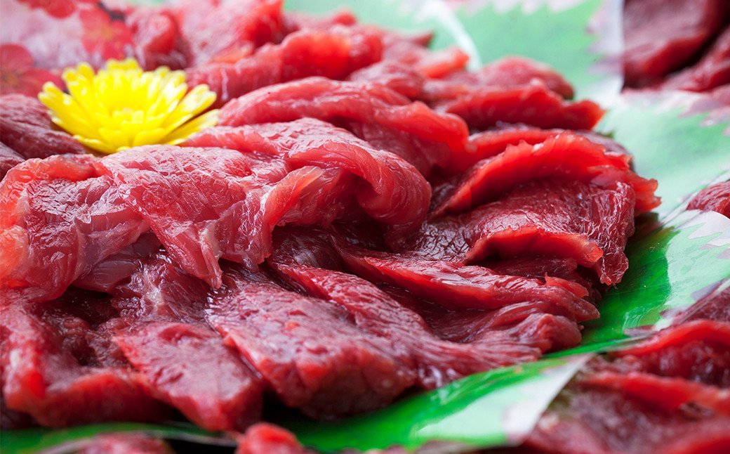 熊本 馬刺し 赤身 約500g (約100g×5個) 《90日以内に出荷予定(土日祝除く)》 生姜 タレ付き 馬刺 馬肉---144-2120---