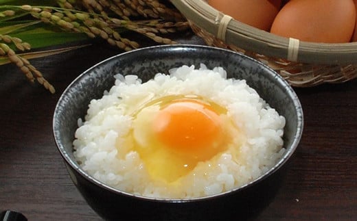 純国産鶏 コッコファーム の たまご 80個入 卵 玉子 鶏卵《90日以内に出荷予定(土日祝除く)》---043-2020---