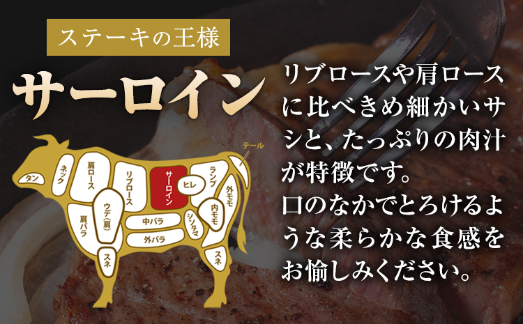 くまもと黒毛和牛 サーロインステーキ 500g (250g x 2枚) 牛肉 冷凍 《30日以内に出荷予定(土日祝除く)》 くまもと黒毛和牛 黒毛和牛 冷凍庫 個別 取分け 小分け 個包装 ステーキ肉 にも サーロインステーキ---300-5010---