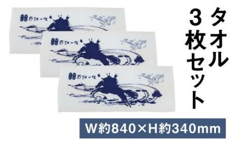 タオル 3枚 セット《90日以内に出荷予定(土日祝除く)》---025-0753---