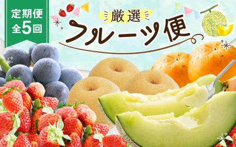 【定期便5回】厳選フルーツ便（メロン ぶどう 梨 柿 いちご）果物 5種 《お申込み月の翌月から出荷開始》 ---003-2425---