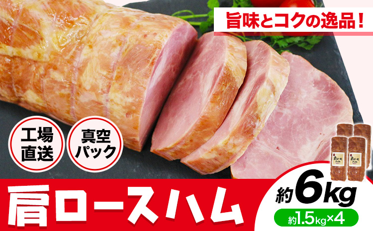 福留ハム カタロースハム 約6kg《30日以内に出荷予定(土日祝除く)》 豚肩ロース ロースハム ハム---00000026y-003-01---