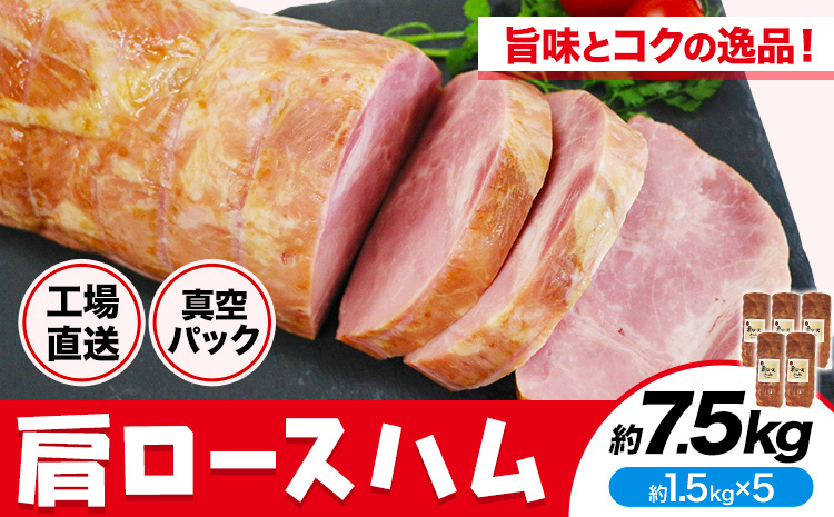 福留ハム カタロースハム 約7.5kg《30日以内に出荷予定(土日祝除く)》 豚肩ロース ロースハム ハム---00000026y-004-01---