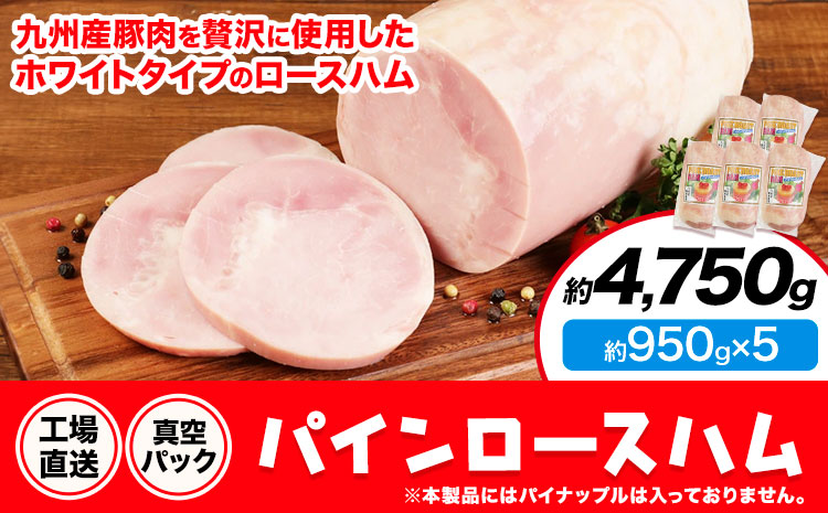 パインロースハム 5個 (1個約950g) ロース ハム ブロック 豚ロース 豚肉 真空パック 福留ハム 工場直送 冷蔵 国内製造 送料無料 《90日以内に出荷予定(土日祝除く)》---0002-3052---