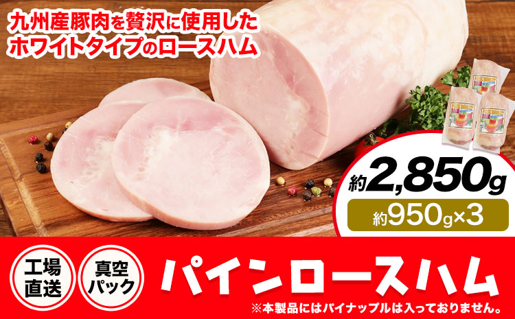 パインロースハム 3個 (1個約950g) ロース ハム ブロック 豚ロース 豚肉 真空パック 福留ハム 工場直送 冷蔵 国内製造 送料無料 《30日以内に出荷予定(土日祝除く)》---0002-3060---