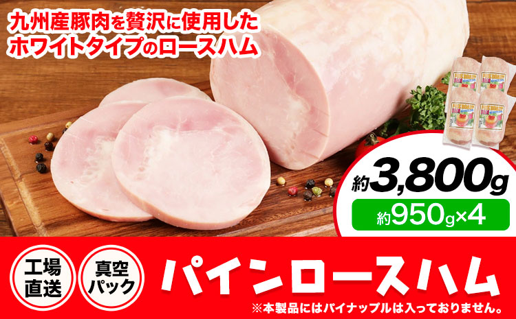 パインロースハム 4個 (1個約950g) ロース ハム ブロック 豚ロース 豚肉 真空パック 福留ハム 工場直送 冷蔵 国内製造 送料無料 《30日以内に出荷予定(土日祝除く)》---0002-3064---