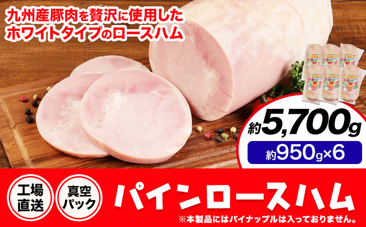 パインロースハム 6個 (1個約950g) ロース ハム ブロック 豚ロース 豚肉 真空パック 福留ハム 工場直送 冷蔵 国内製造 送料無料 《30日以内に出荷予定(土日祝除く)》---0002-3066---