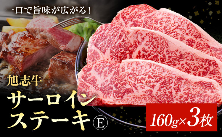 旭志牛 サーロインステーキE 160g×3枚 合計480g 有限会社旭志村ふれあいセンター《90日以内に出荷予定(土日祝除く)》お肉 牛肉 サーロイン ステーキ 菊池ブランド牛 冷凍 送料無料 ---001-1952---