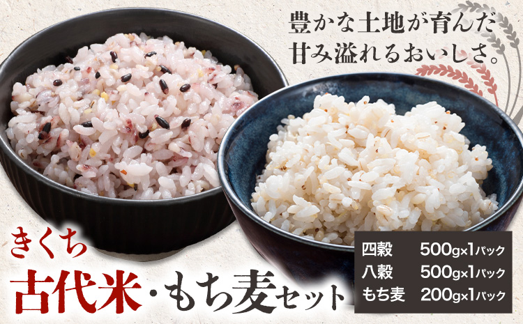 きくち古代米・もち麦 セットA【ファームきくち】 四穀 八穀 500g×1パック もち麦 200g×1パック セット 有限会社七城町特産品センター《90日以内に出荷予定(土日祝除く)》熊本県 菊池市 雑穀米 お米 米 もち麦 菊池市産 熊本県産 九州産---003-0473---