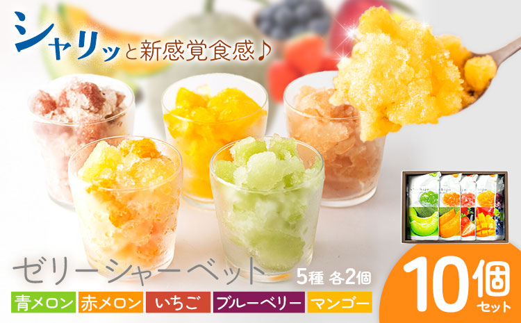ゼリーシャーベット 10個セット(5種類×各2個) 道の駅七城メロンドーム 《30日以内に出荷予定(土日祝除く)》メロン いちご マンゴー ブルーベリー シャーベット 洋菓子 お菓子 おやつ ゼリーシャーベット 送料無料---003-1070---