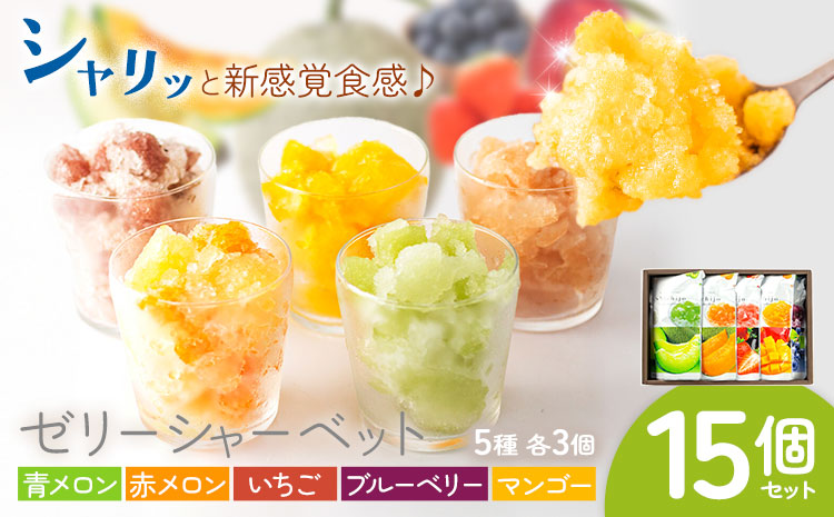 ゼリーシャーベット 15個セット(5種類×各3個) 道の駅七城メロンドーム《30日以内に出荷予定(土日祝除く)》メロン いちご マンゴー ブルーベリー シャーベット 洋菓子 お菓子 おやつ ゼリーシャーベット 送料無料---003-1071---