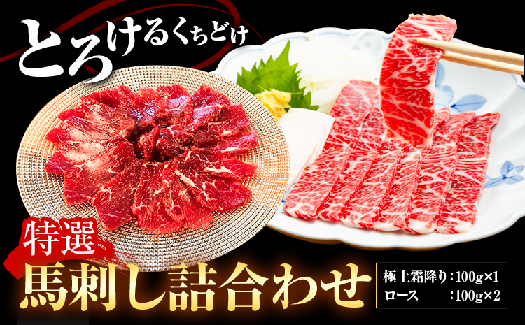 特選馬刺し詰め合わせ Dセット 2種類 合計300g 極上霜降り 100g ロース 100g×2パック 有限会社七城町特産品センター《90日以内に出荷予定(土日祝除く)》熊本県 菊池市 肉 馬肉 馬刺し セット 食べ比べ ブロック 霜降り 送料無料---003-1481---