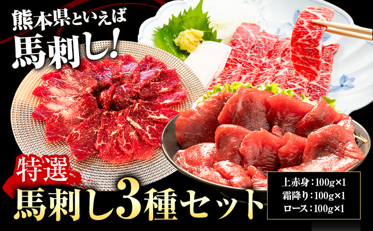 特選馬刺しセットB 合計300g 3種類 セット 霜降り100g 上赤身100g ロース100g《90日以内に出荷予定(土日祝除く)》熊本県 菊池市 馬肉 馬刺し 食べ比べ セット 詰め合わせ ブロック 冷凍 送料無料---003-1484---