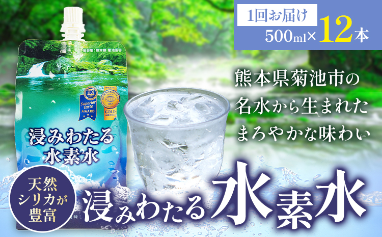 浸みわたる水素水 12本(6L)内容量 1本500ml 《30日以内に出荷予定(土日祝除く)》水 水素水 天然水 飲料水 ミネラルウォーター アルミパウチ パウチ 国産 九州産 熊本県産 菊池市産---003-1492---