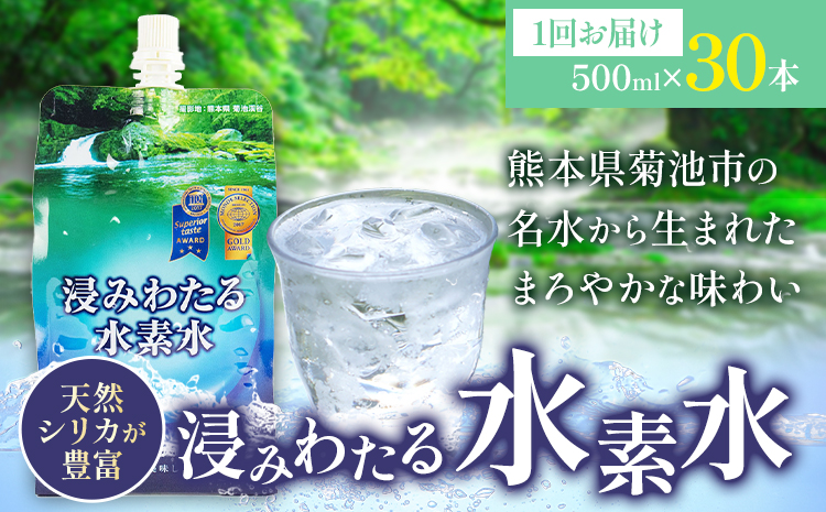 浸みわたる水素水 30本(15L) 内容量 1本500ml 《30日以内に出荷予定(土日祝除く)》水 水素水 天然水 飲料水 ミネラルウォーター アルミパウチ パウチ 国産 九州産 熊本県産 菊池市産---003-1493---