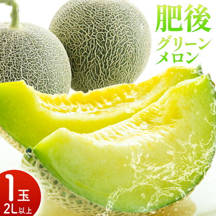 肥後グリーンメロン 1玉 2L以上【メロンドーム】 メロン 果物 フルーツ 九州産 熊本県産 送料無料【2026年5月中旬頃より出荷】【先行予約】---003-1568---