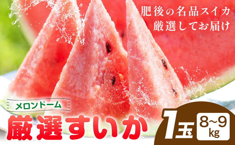 【先行予約】厳選すいか 1玉(8-9kg) 道の駅七城メロンドーム《5月中旬-6月中旬頃出荷》品種おまかせ ランダム 肥後漫遊 味で勝負iS 祭りばやし 果物 フルーツ スイカ 西瓜 九州産 熊本県産 送料無料---003-1574---