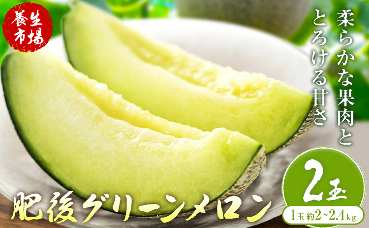 肥後グリーンメロン 約2-2.4kg×2玉【養生市場】 有限会社七城町特産品センター《5月中旬-6月中旬頃出荷》熊本県 菊池市 メロン グリーンメロン 果物 フルーツ 熊本県産 送料無料---003-1578---