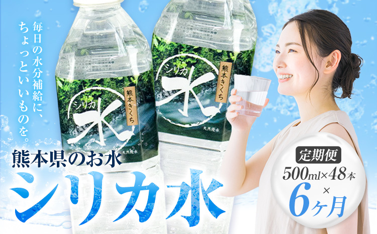 【6ヶ月定期便】 水 シリカ水 500ml × 48本 × 年6回 有限会社七城町特産品センター メロンドーム 《お申し込みの翌月から出荷》 熊本県 菊池市 水 軟水 飲料 ドリンク 清涼飲料水 天然地下水 ペットボトル ミネラルウォーター 定期便 送料無料---003-1688---