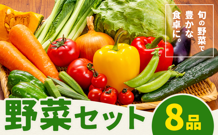 野菜セット 8品 養生市場 詰め合わせ セット 品種おまかせ 有限会社七城町特産品センター《90日以内に出荷予定(土日祝除く)》熊本県 菊池市 ランダム 野菜 旬の野菜 九州産 熊本県産---003-1964---