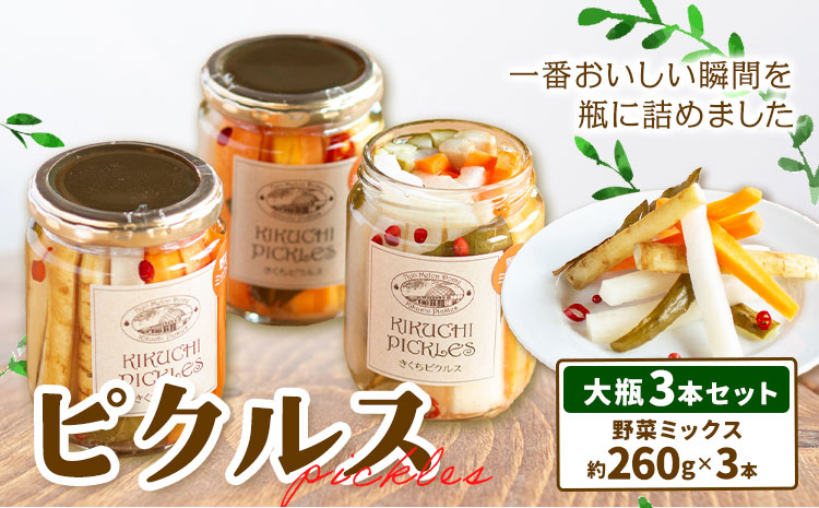 ピクルス 大瓶 3本セット 【メロンドーム】 約260g×3本 ピクルス 野菜 酢漬け 漬物 おつまみ 旬の野菜 《30日以内に出荷予定(土日祝除く)》---003-2409---