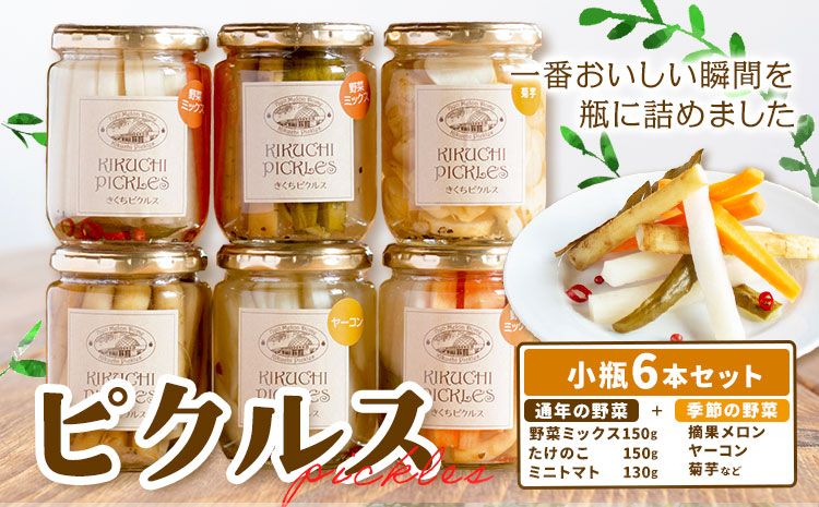ピクルス 小瓶 6本セット 【メロンドーム】  ピクルス 野菜 酢漬け 漬物 おつまみ 旬の野菜 《30日以内に出荷予定(土日祝除く)》---003-2412---