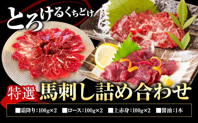 特選馬刺し詰め合わせ Eセット 合計600g 3種類 セット 霜降り100g×2 上赤身100g×2 ロース100g×2 醤油1本付き 有限会社七城町特産品センター《90日以内に出荷予定(土日祝除く)》熊本県 菊池市 馬肉 馬刺し 食べ比べ ブロック 冷凍 送料無料---003-2415---