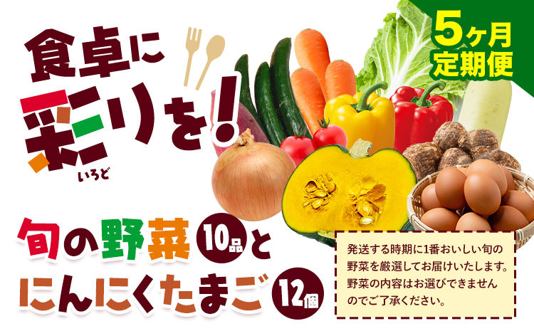 旬の野菜とたまごのセットメロンドーム 野菜 卵 にんにくたまご 卵 詰め合わせ 5ヶ月 定期便 有限会社七城町特産品センター《お申し込みの翌月から出荷》熊本県 菊池市 セット 新鮮 国産 九州産 熊本県 菊池市 道の駅 旬---003-2420---