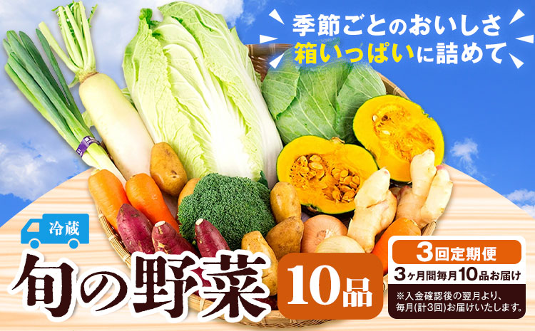 旬の野菜 定期便 計3回 旬の野菜 10品【養生市場】定期便 品種おまかせ ランダム 3ヶ月お届け 計3回 詰め合わせ セット 野菜 九州産 熊本県産《お申し込みの翌月から出荷》---003-2421---