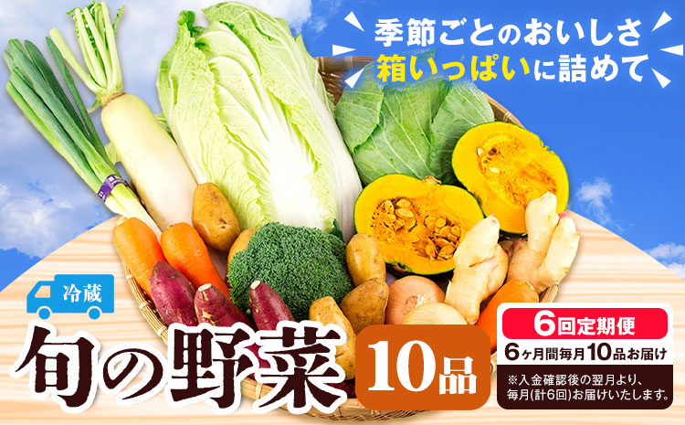 旬の野菜 定期便 計6回 旬の野菜 10品【養生市場】定期便 品種おまかせ ランダム 6ヶ月お届け 計6回 詰め合わせ セット 野菜 九州産 熊本県産《お申し込みの翌月から出荷》---003-2422---