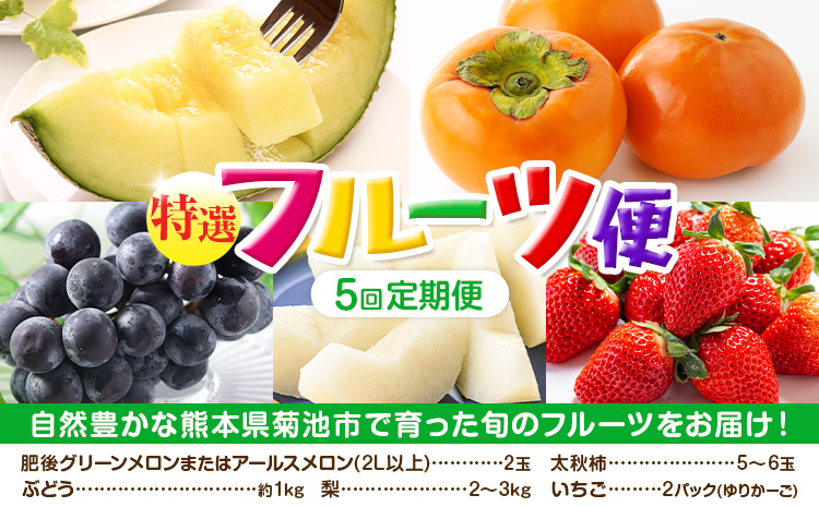 【定期便5回】 厳選 フルーツ 便 ( メロン ぶどう 梨 柿 いちご ) 葡萄 ブドウ ナシ なし かき 太秋柿 イチゴ 苺 果物 くだもの セット 詰め合わせ 定期便 《お申し込みの翌月から出荷》---003-2425---