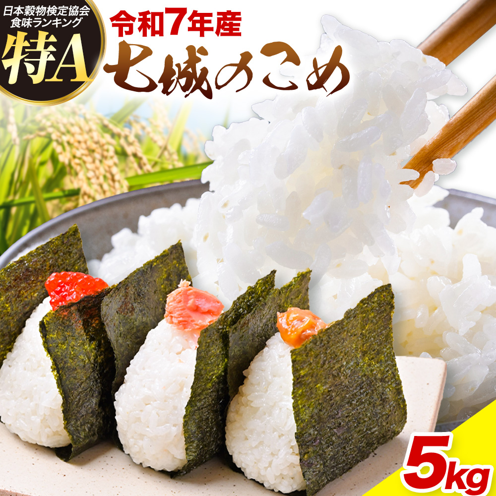 令和7年産 七城のこめ 精米 5kg ヒノヒカリ ひのひかり 有限会社七城町特産品センター 《30日以内に出荷予定(土日祝除く)》 熊本県 菊池市 定期便 お米 米 白米 九州産 熊本県産---003-0545---
