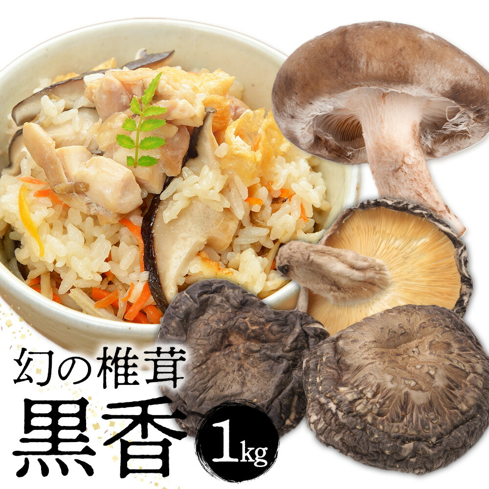 しいたけ 幻の椎茸 黒香 1kg 有限会社きくち観光物産館 《90日以内に出荷予定(土日祝除く)》熊本県 菊池市 希少品種 乾燥椎茸 小粒 ジャミ バレ しいたけ きのこ ご家庭用 規格外品 訳あり 送料無料---004-2268---