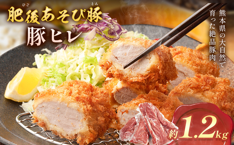 肥後あそび豚 ヒレ 約1.2kg 株式会社さつま屋産業《30日以内に出荷予定(土日祝除く)》熊本県 菊池市 ぶた ブタ 豚肉 肉 ブランド豚 ヒレ ヒレ肉 国産 九州産 熊本県産 菊池市産 冷凍 送料無料---015-1980---