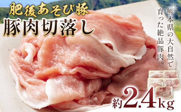 肥後あそび豚切落し 2.4kg 株式会社さつま屋産業 《90日以内に出荷予定(土日祝除く)》 ぶた ブタ 豚肉 肉 ブランド豚 切り落とし 国産 九州産 熊本県産 菊池市産 冷凍 送料無料 ---015-1978---